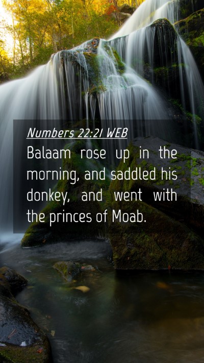 Picture 04 - Numbers 22:21 WEB Mobile Phone Wallpaper - Balaam rose up in the morning, and saddled his - Mobile Bible Verse Wallpaper