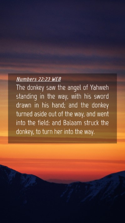 Picture 04 - Numbers 22:23 WEB Mobile Phone Wallpaper - The donkey saw the angel of Yahweh standing in - Mobile Bible Verse Wallpaper