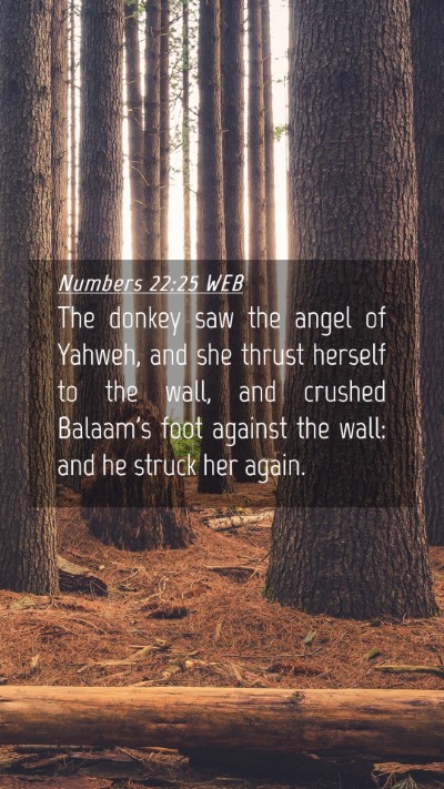 Picture 04 - Numbers 22:25 WEB Mobile Phone Wallpaper - The donkey saw the angel of Yahweh, and she - Mobile Bible Verse Wallpaper