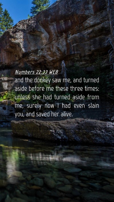 Picture 04 - Numbers 22:33 WEB Mobile Phone Wallpaper - and the donkey saw me, and turned aside before me - Mobile Bible Verse Wallpaper