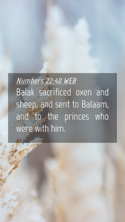 Picture 04 - Numbers 22:40 WEB Mobile Phone Wallpaper - Balak sacrificed oxen and sheep, and sent to - Mobile Bible Verse Wallpaper