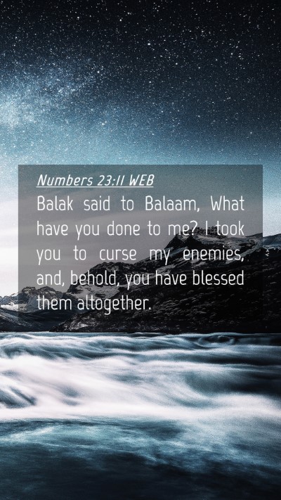 Picture 04 - Numbers 23:11 WEB Mobile Phone Wallpaper - Balak said to Balaam, What have you done to me? I - Mobile Bible Verse Wallpaper