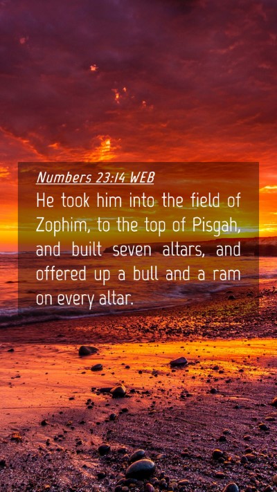 Picture 04 - Numbers 23:14 WEB Mobile Phone Wallpaper - He took him into the field of Zophim, to the top - Mobile Bible Verse Wallpaper