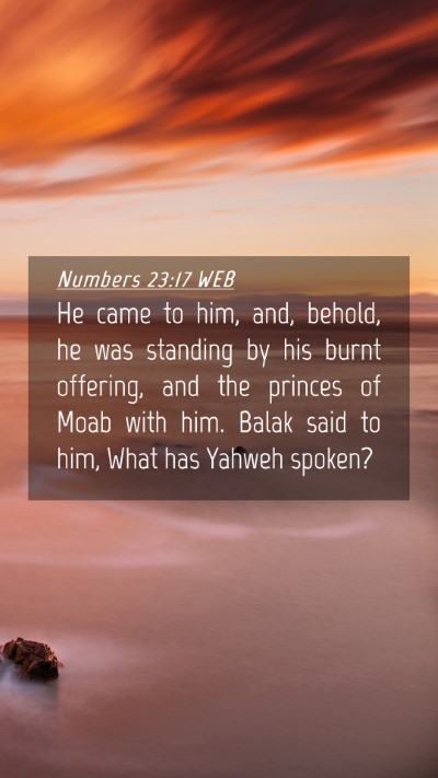 Picture 04 - Numbers 23:17 WEB Mobile Phone Wallpaper - He came to him, and, behold, he was standing by - Mobile Bible Verse Wallpaper