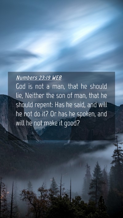 Picture 04 - Numbers 23:19 WEB Mobile Phone Wallpaper - God is not a man, that he should lie, Neither the - Mobile Bible Verse Wallpaper