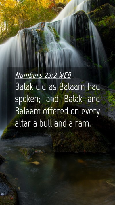 Picture 04 - Numbers 23:2 WEB Mobile Phone Wallpaper - Balak did as Balaam had spoken; and Balak and - Mobile Bible Verse Wallpaper