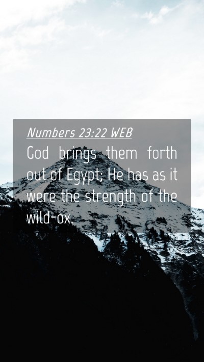 Picture 04 - Numbers 23:22 WEB Mobile Phone Wallpaper - God brings them forth out of Egypt; He has as it - Mobile Bible Verse Wallpaper