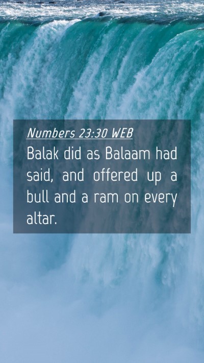 Picture 04 - Numbers 23:30 WEB Mobile Phone Wallpaper - Balak did as Balaam had said, and offered up a - Mobile Bible Verse Wallpaper