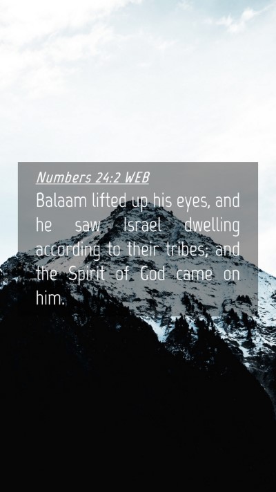 Picture 04 - Numbers 24:2 WEB Mobile Phone Wallpaper - Balaam lifted up his eyes, and he saw Israel - Mobile Bible Verse Wallpaper