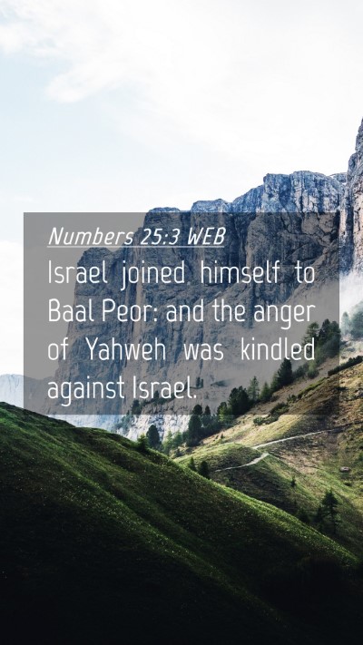 Picture 04 - Numbers 25:3 WEB Mobile Phone Wallpaper - Israel joined himself to Baal Peor: and the anger - Mobile Bible Verse Wallpaper
