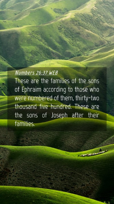 Picture 04 - Numbers 26:37 WEB Mobile Phone Wallpaper - These are the families of the sons of Ephraim - Mobile Bible Verse Wallpaper