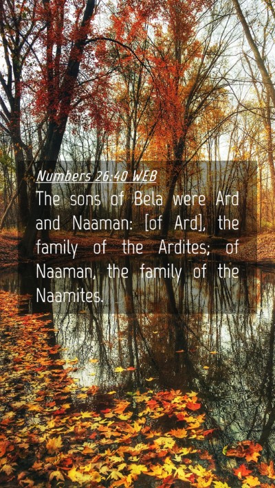Picture 04 - Numbers 26:40 WEB Mobile Phone Wallpaper - The sons of Bela were Ard and Naaman: [of Ard], - Mobile Bible Verse Wallpaper