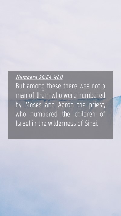 Picture 04 - Numbers 26:64 WEB Mobile Phone Wallpaper - But among these there was not a man of them who - Mobile Bible Verse Wallpaper
