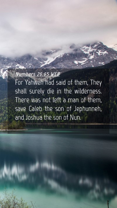 Picture 04 - Numbers 26:65 WEB Mobile Phone Wallpaper - For Yahweh had said of them, They shall surely - Mobile Bible Verse Wallpaper