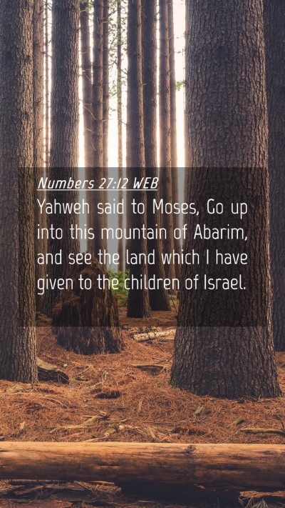 Picture 04 - Numbers 27:12 WEB Mobile Phone Wallpaper - Yahweh said to Moses, Go up into this mountain of - Mobile Bible Verse Wallpaper