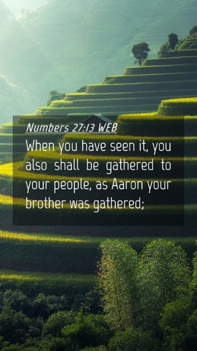Picture 04 - Numbers 27:13 WEB Mobile Phone Wallpaper - When you have seen it, you also shall be gathered - Mobile Bible Verse Wallpaper