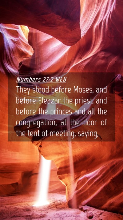 Picture 04 - Numbers 27:2 WEB Mobile Phone Wallpaper - They stood before Moses, and before Eleazar the - Mobile Bible Verse Wallpaper