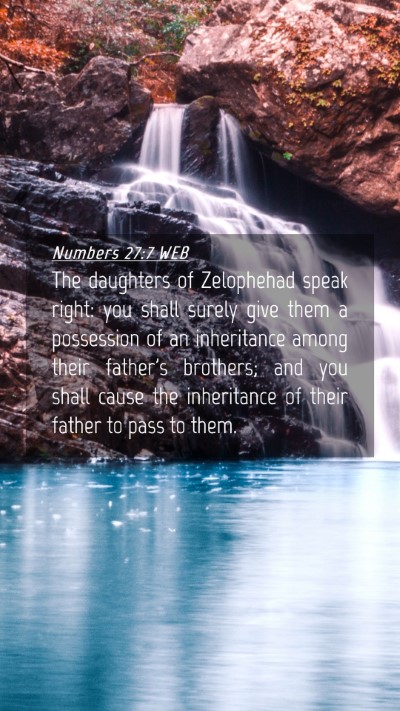 Picture 04 - Numbers 27:7 WEB Mobile Phone Wallpaper - The daughters of Zelophehad speak right: you - Mobile Bible Verse Wallpaper