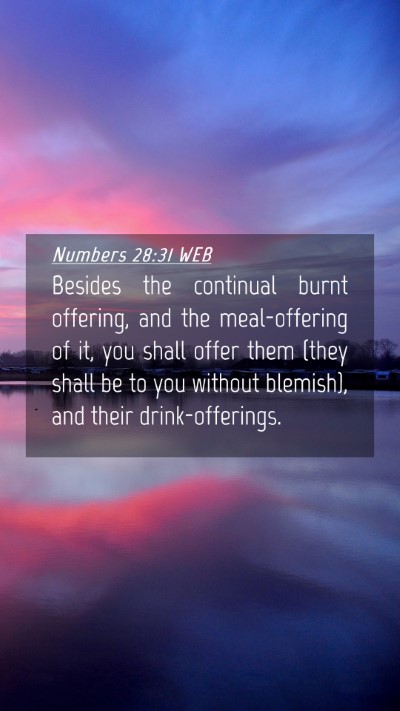 Picture 04 - Numbers 28:31 WEB Mobile Phone Wallpaper - Besides the continual burnt offering, and the - Mobile Bible Verse Wallpaper