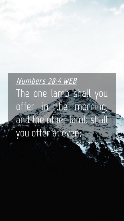 Picture 04 - Numbers 28:4 WEB Mobile Phone Wallpaper - The one lamb shall you offer in the morning, and - Mobile Bible Verse Wallpaper