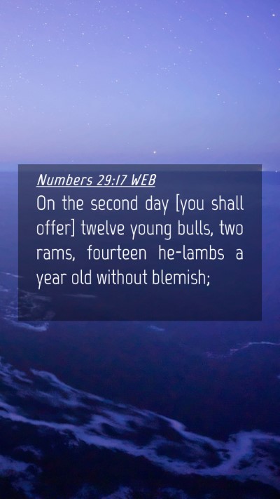 Picture 04 - Numbers 29:17 WEB Mobile Phone Wallpaper - On the second day [you shall offer] twelve young - Mobile Bible Verse Wallpaper