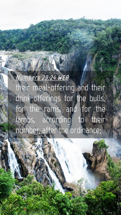 Picture 04 - Numbers 29:24 WEB Mobile Phone Wallpaper - their meal-offering and their drink-offerings for - Mobile Bible Verse Wallpaper