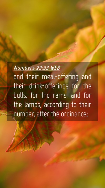Picture 04 - Numbers 29:33 WEB Mobile Phone Wallpaper - and their meal-offering and their drink-offerings - Mobile Bible Verse Wallpaper