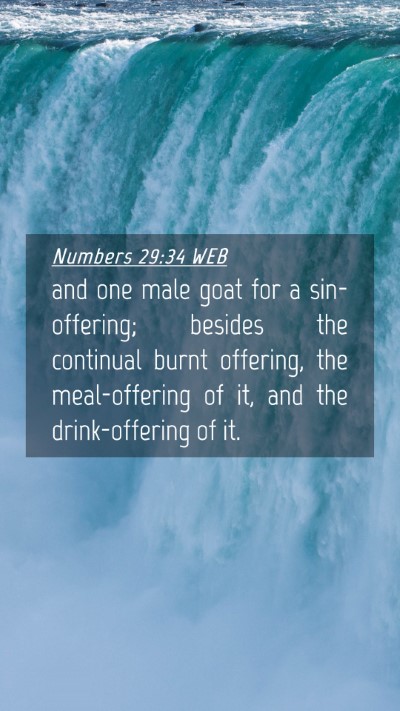 Picture 04 - Numbers 29:34 WEB Mobile Phone Wallpaper - and one male goat for a sin-offering; besides the - Mobile Bible Verse Wallpaper