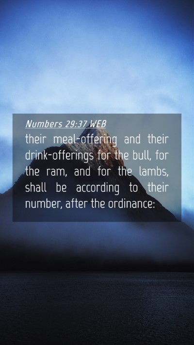 Picture 04 - Numbers 29:37 WEB Mobile Phone Wallpaper - their meal-offering and their drink-offerings for - Mobile Bible Verse Wallpaper