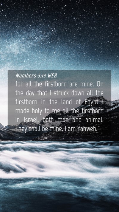 Picture 04 - Numbers 3:13 WEB Mobile Phone Wallpaper - for all the firstborn are mine. On the day that I - Mobile Bible Verse Wallpaper