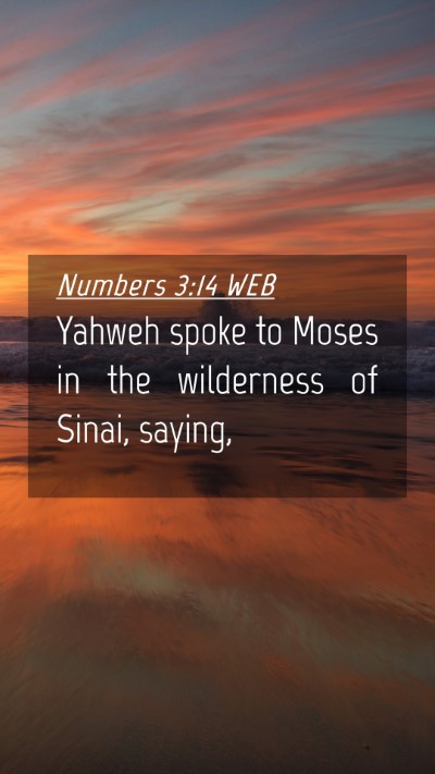 Picture 04 - Numbers 3:14 WEB Mobile Phone Wallpaper - Yahweh spoke to Moses in the wilderness of Sinai, - Mobile Bible Verse Wallpaper