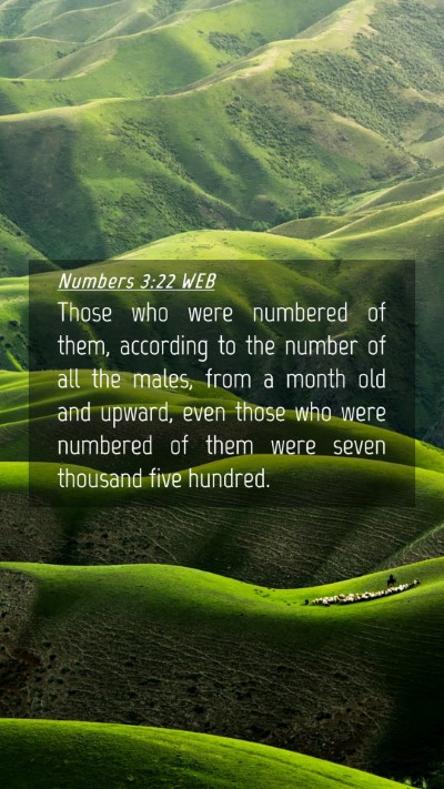 Picture 04 - Numbers 3:22 WEB Mobile Phone Wallpaper - Those who were numbered of them, according to the - Mobile Bible Verse Wallpaper