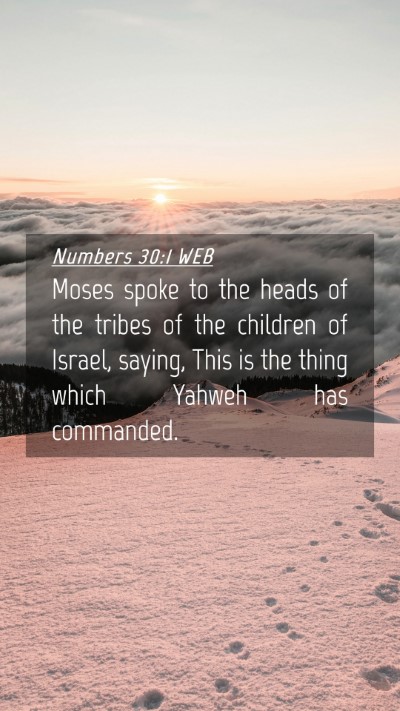 Picture 04 - Numbers 30:1 WEB Mobile Phone Wallpaper - Moses spoke to the heads of the tribes of the - Mobile Bible Verse Wallpaper
