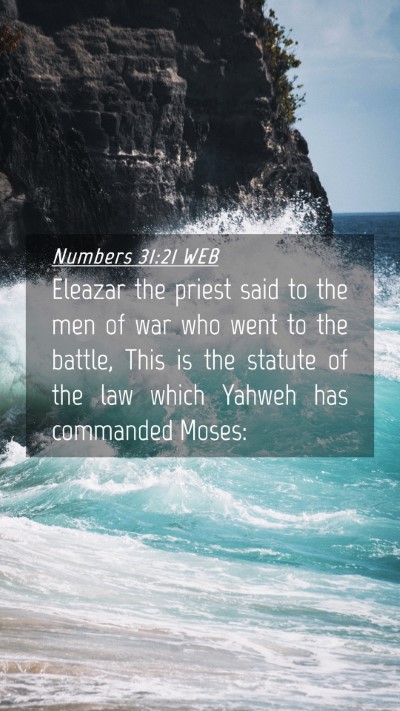 Picture 04 - Numbers 31:21 WEB Mobile Phone Wallpaper - Eleazar the priest said to the men of war who - Mobile Bible Verse Wallpaper