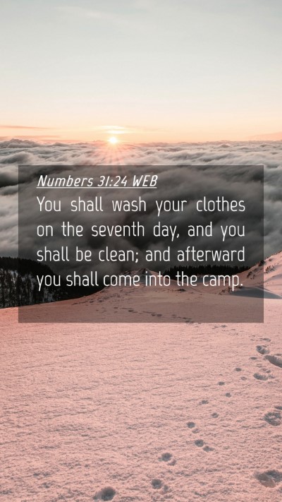 Picture 04 - Numbers 31:24 WEB Mobile Phone Wallpaper - You shall wash your clothes on the seventh day, - Mobile Bible Verse Wallpaper