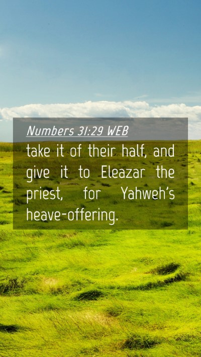 Picture 04 - Numbers 31:29 WEB Mobile Phone Wallpaper - take it of their half, and give it to Eleazar the - Mobile Bible Verse Wallpaper