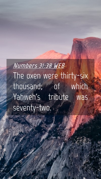Picture 04 - Numbers 31:38 WEB Mobile Phone Wallpaper - The oxen were thirty-six thousand; of which - Mobile Bible Verse Wallpaper