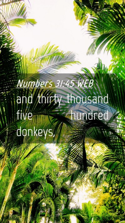 Picture 04 - Numbers 31:45 WEB Mobile Phone Wallpaper - and thirty thousand five hundred - Mobile Bible Verse Wallpaper