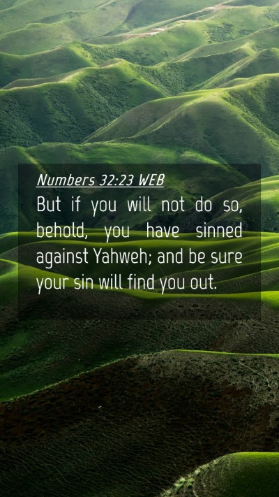 Picture 04 - Numbers 32:23 WEB Mobile Phone Wallpaper - But if you will not do so, behold, you have - Mobile Bible Verse Wallpaper