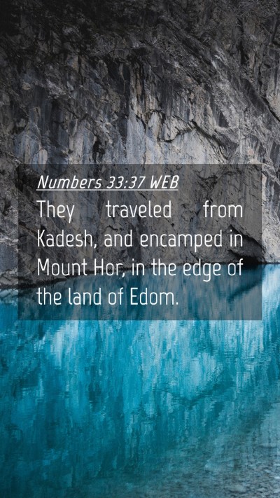 Picture 04 - Numbers 33:37 WEB Mobile Phone Wallpaper - They traveled from Kadesh, and encamped in Mount - Mobile Bible Verse Wallpaper