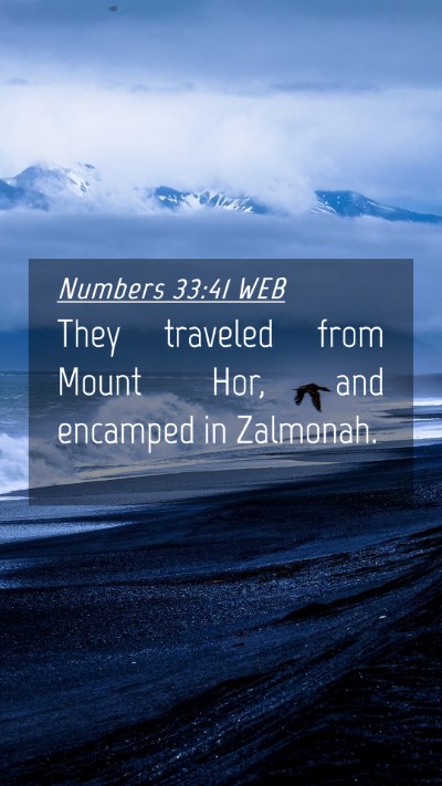 Picture 04 - Numbers 33:41 WEB Mobile Phone Wallpaper - They traveled from Mount Hor, and encamped in - Mobile Bible Verse Wallpaper