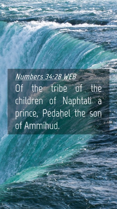 Picture 04 - Numbers 34:28 WEB Mobile Phone Wallpaper - Of the tribe of the children of Naphtali a - Mobile Bible Verse Wallpaper