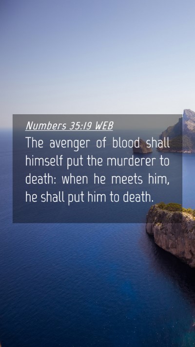 Picture 04 - Numbers 35:19 WEB Mobile Phone Wallpaper - The avenger of blood shall himself put the - Mobile Bible Verse Wallpaper