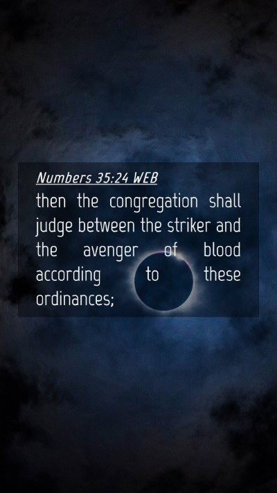 Picture 04 - Numbers 35:24 WEB Mobile Phone Wallpaper - then the congregation shall judge between the - Mobile Bible Verse Wallpaper
