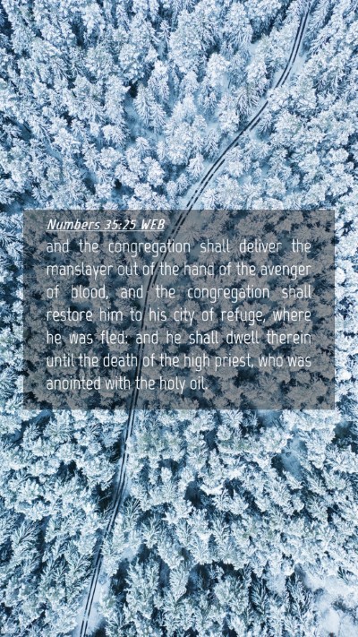 Picture 04 - Numbers 35:25 WEB Mobile Phone Wallpaper - and the congregation shall deliver the manslayer - Mobile Bible Verse Wallpaper