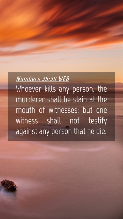 Picture 04 - Numbers 35:30 WEB Mobile Phone Wallpaper - Whoever kills any person, the murderer shall be - Mobile Bible Verse Wallpaper