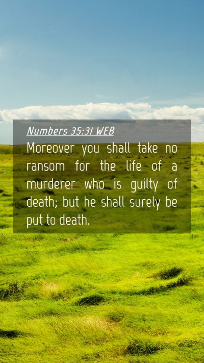 Picture 04 - Numbers 35:31 WEB Mobile Phone Wallpaper - Moreover you shall take no ransom for the life of - Mobile Bible Verse Wallpaper