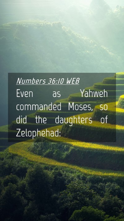 Picture 04 - Numbers 36:10 WEB Mobile Phone Wallpaper - Even as Yahweh commanded Moses, so did the - Mobile Bible Verse Wallpaper