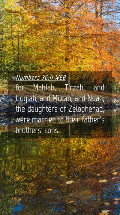 Picture 04 - Numbers 36:11 WEB Mobile Phone Wallpaper - for Mahlah, Tirzah, and Hoglah, and Milcah, and - Mobile Bible Verse Wallpaper