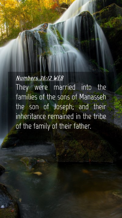 Picture 04 - Numbers 36:12 WEB Mobile Phone Wallpaper - They were married into the families of the sons - Mobile Bible Verse Wallpaper